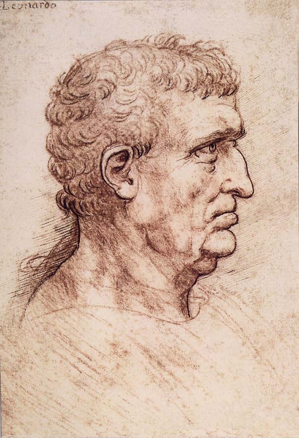 LEONARDO da Vinci Profile of a man